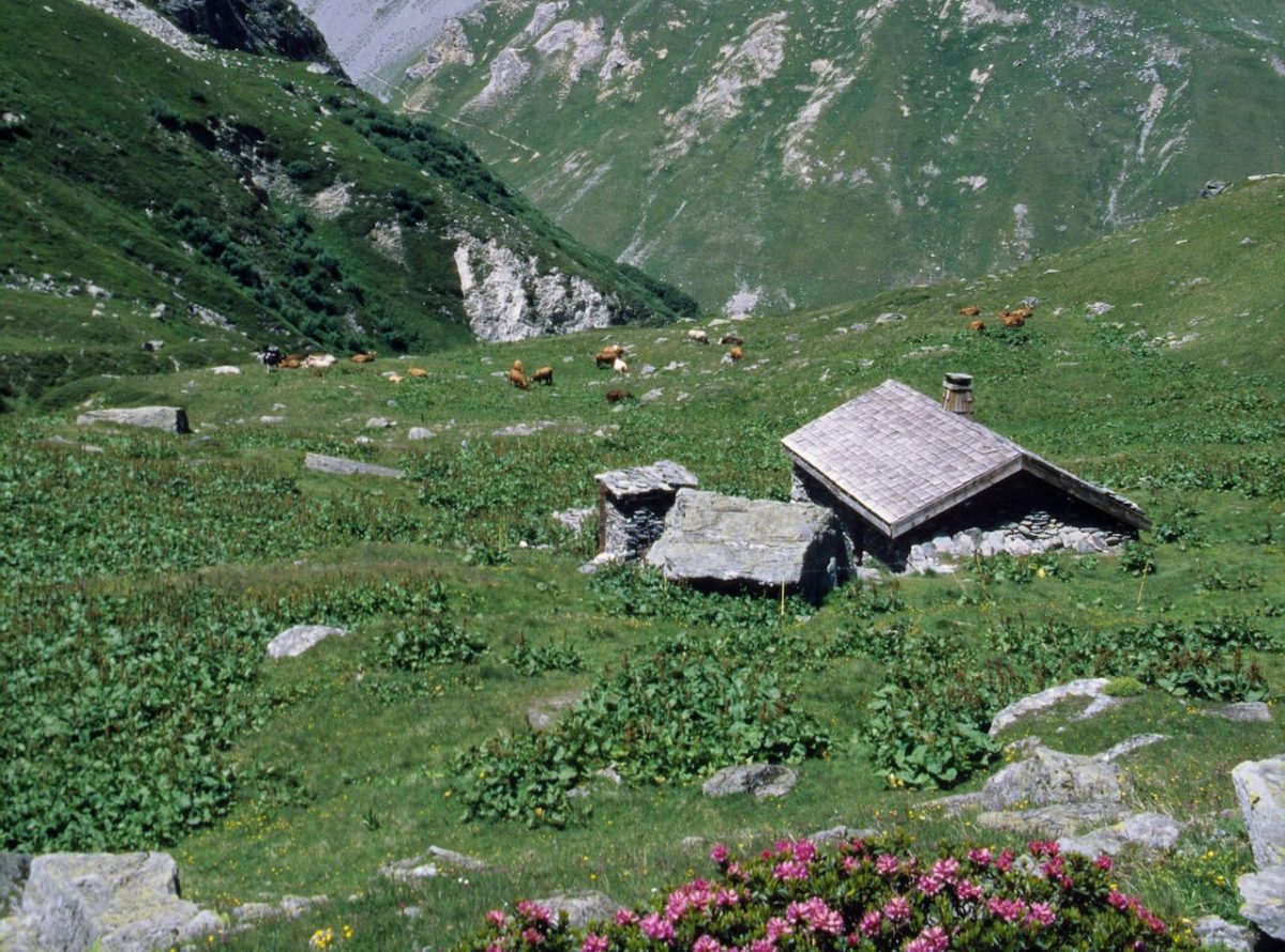 Imagem Ilustrativa. Apresenta algumas montanhas esverdeadas por causa da grama, bem como algumas pedras e flores, e algumas casas de pedra.